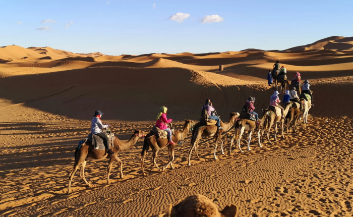 12 day Morocco tour from Casablanca